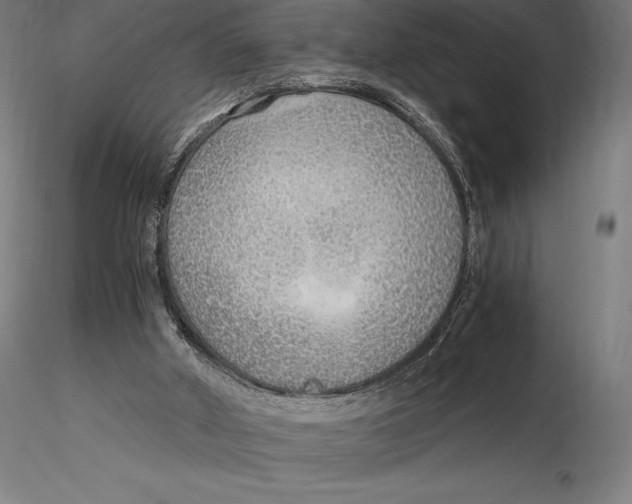 X0000115480010200912041003