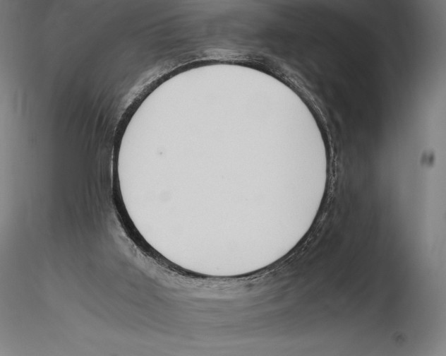 X0000115480011200912041003