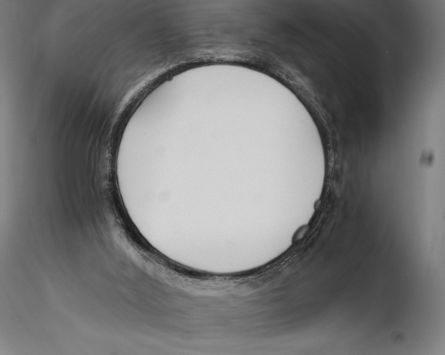 X0000115480012200912041003