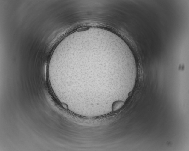 X0000115480014200912041003