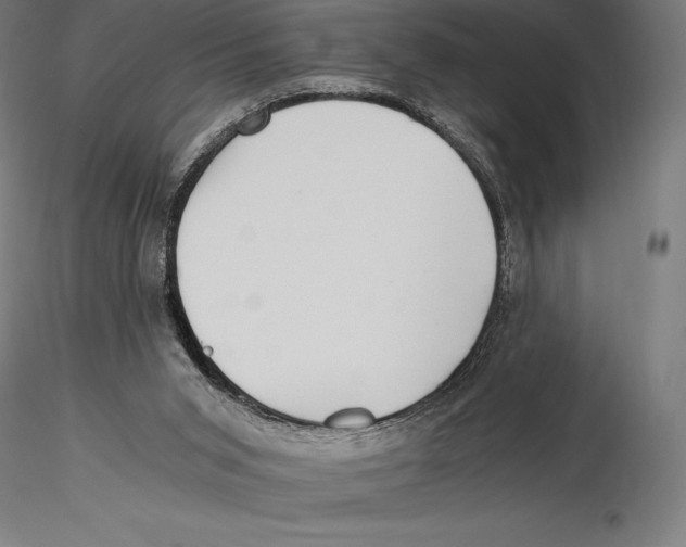 X0000115480015200912041003