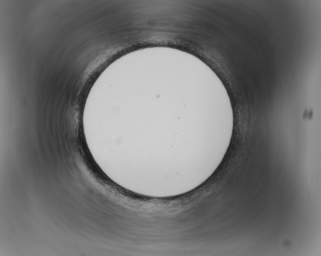 X0000115480016200912041003