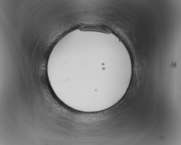 X0000115480017200912041003
