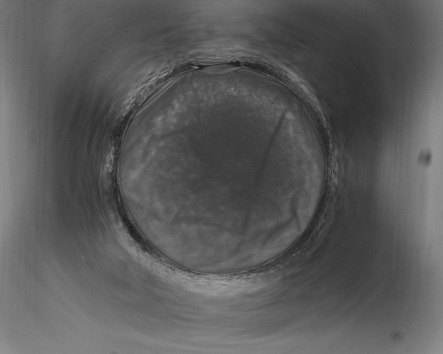 X0000115480018200912041003