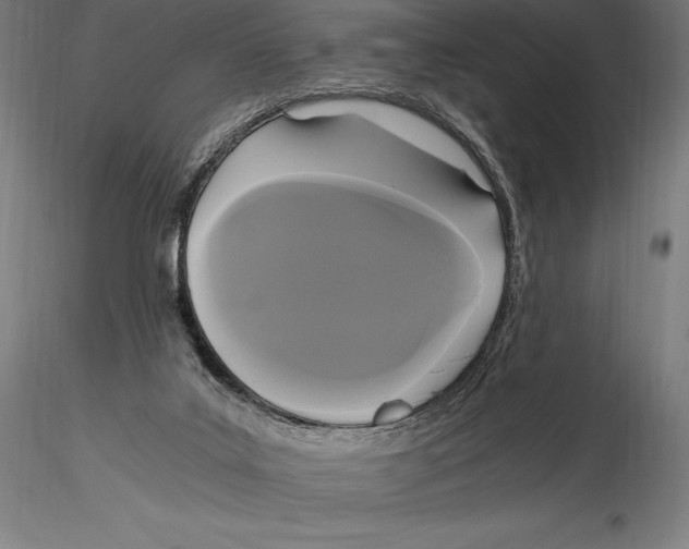 X0000115480019200912041003