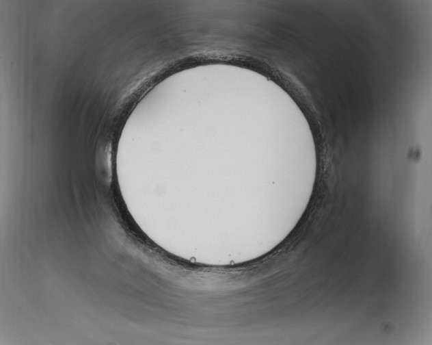 X0000115480020200912041003