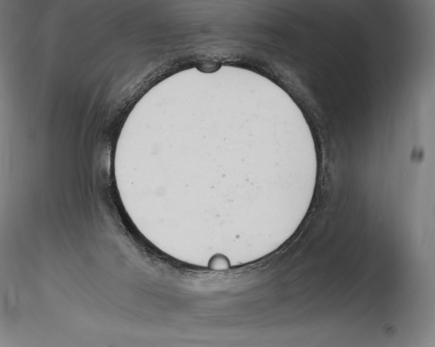 X0000115480021200912041003
