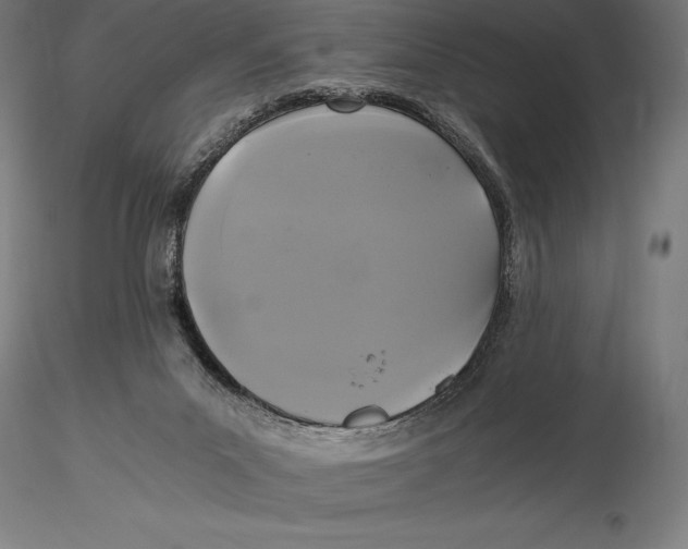 X0000115480023200912041003