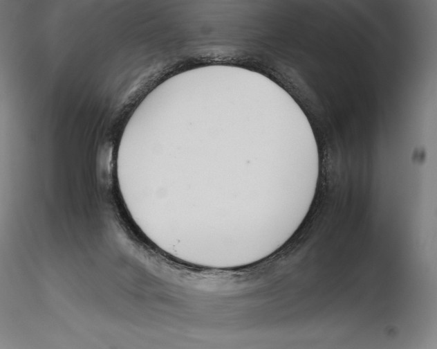 X0000115480024200912041003