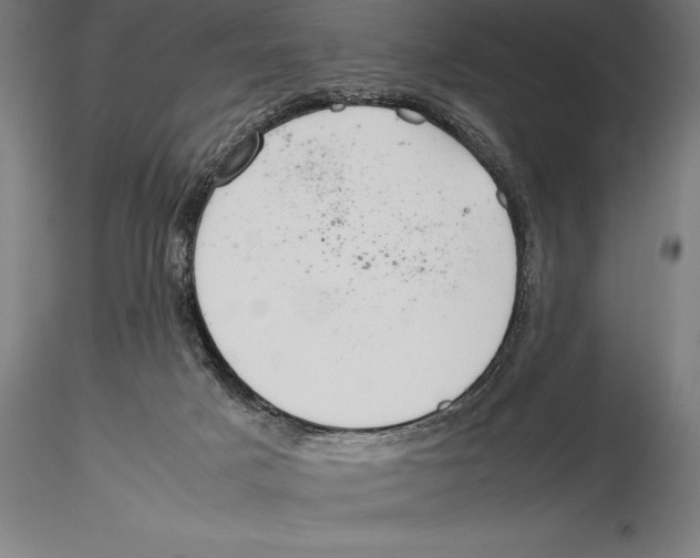 X0000115480025200912041003