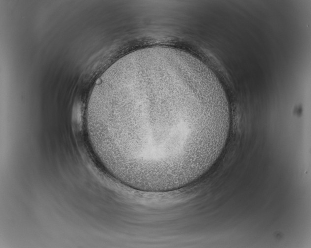 X0000115480026200912041003