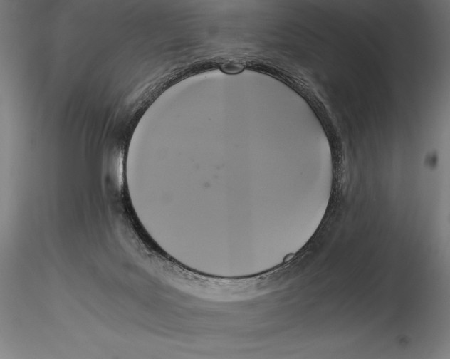 X0000115480027200912041003