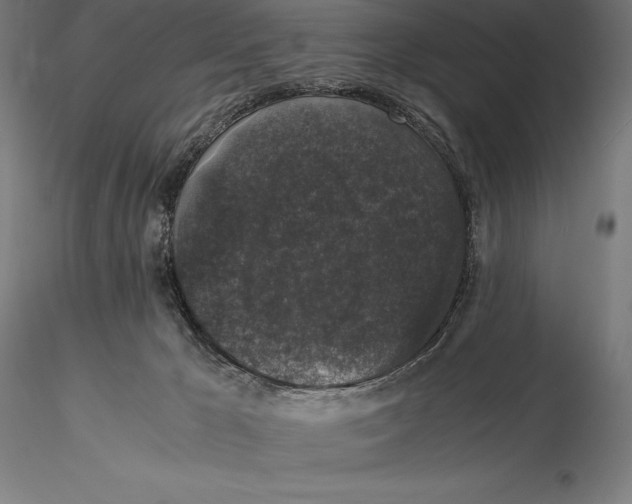 X0000115480029200912041003