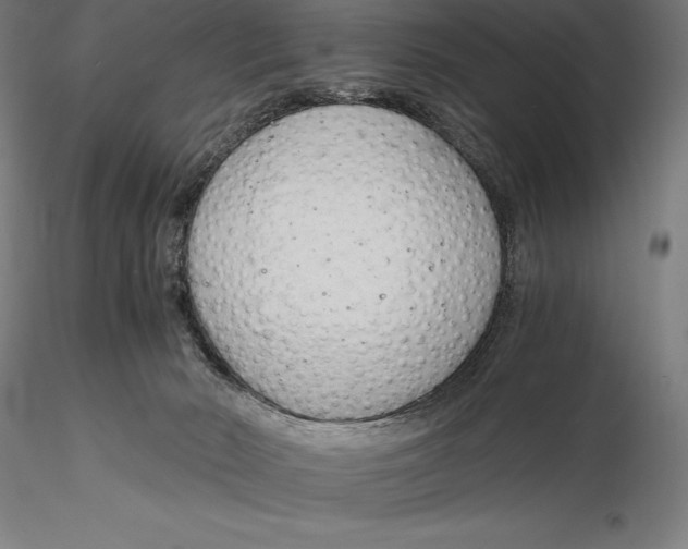 X0000115480030200912041003