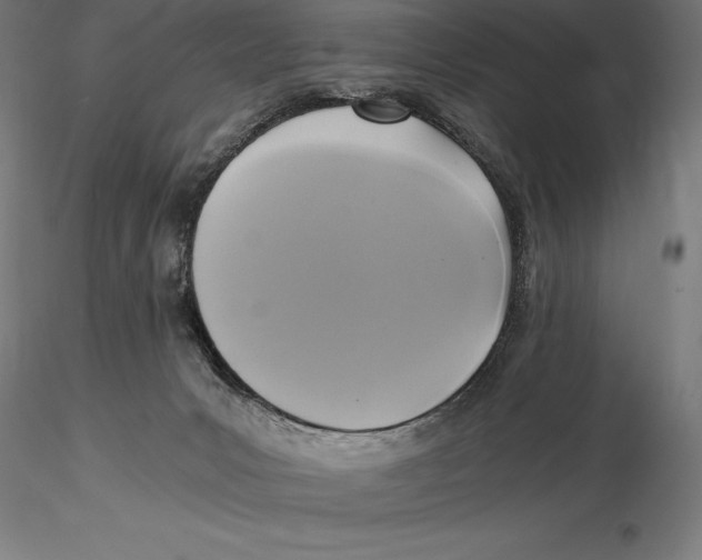 X0000115480031200912041003