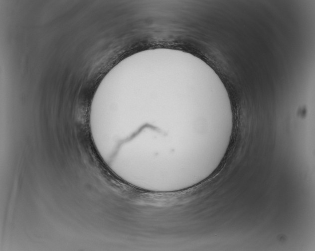 X0000115480033200912041003