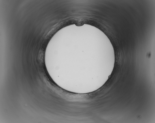 X0000115480036200912041003