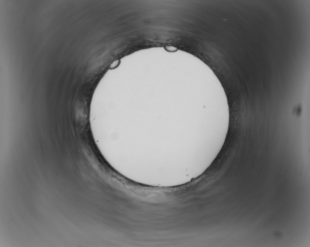 X0000115480040200912041003