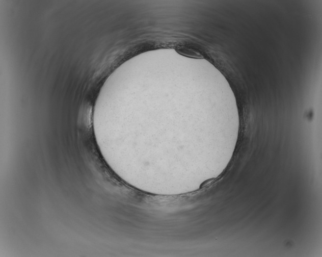 X0000115480041200912041003