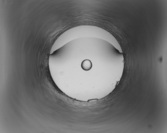 X0000115480043200912041003