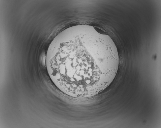 X0000115480046200912041003