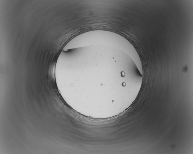 X0000115480047200912041003