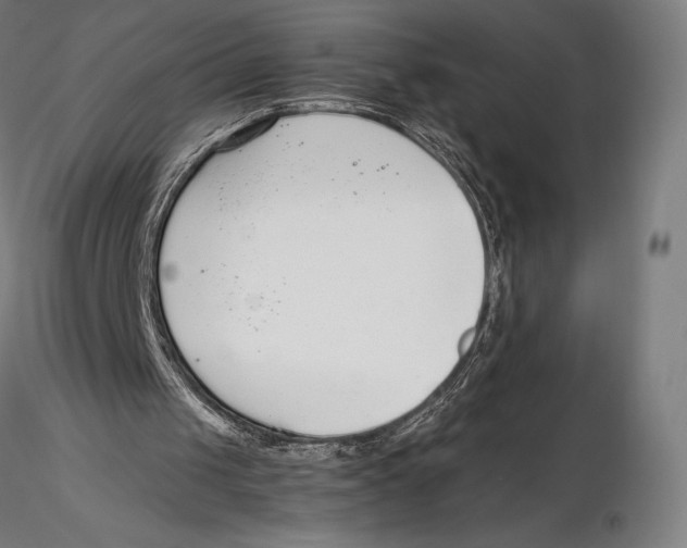 X0000115480049200912041002