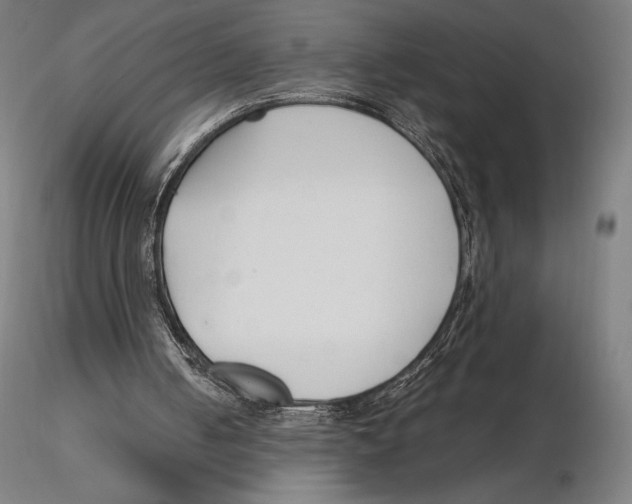 X0000115480050200912041002