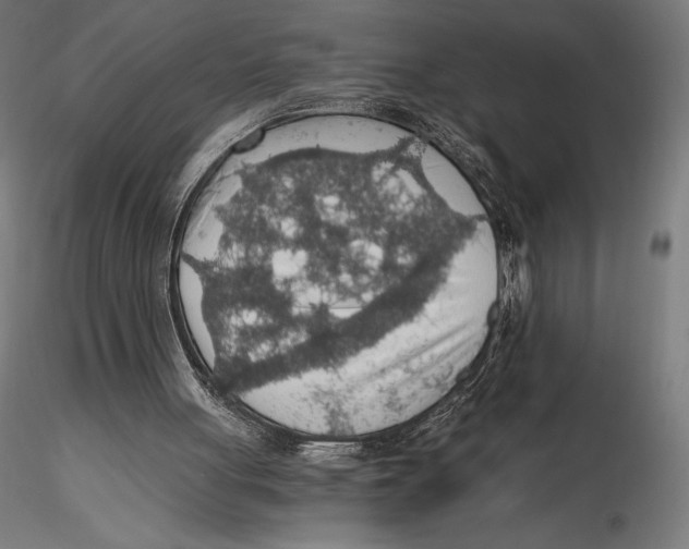 X0000115480051200912041002