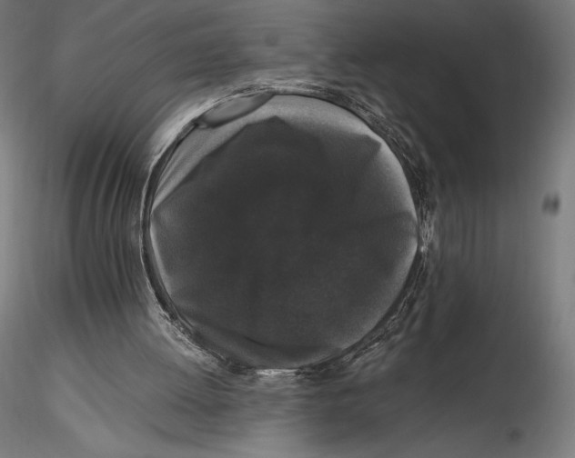 X0000115480052200912041002