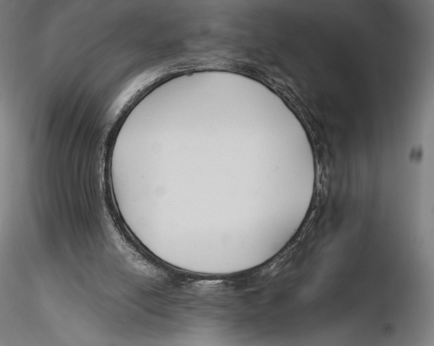 X0000115480054200912041002