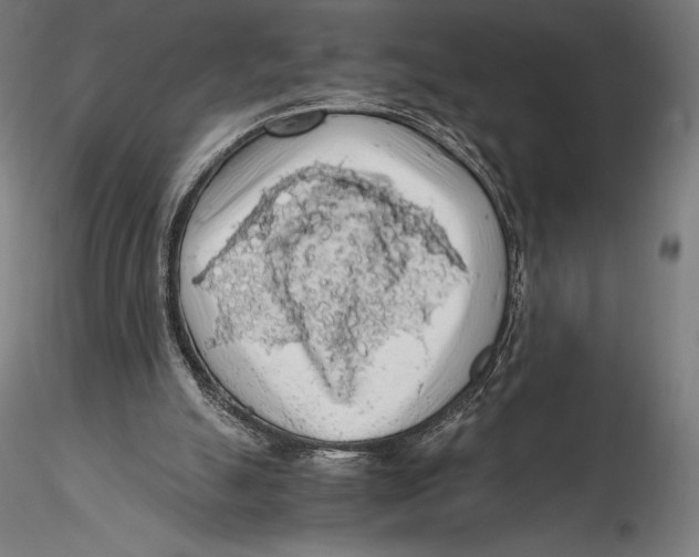 X0000115480055200912041002