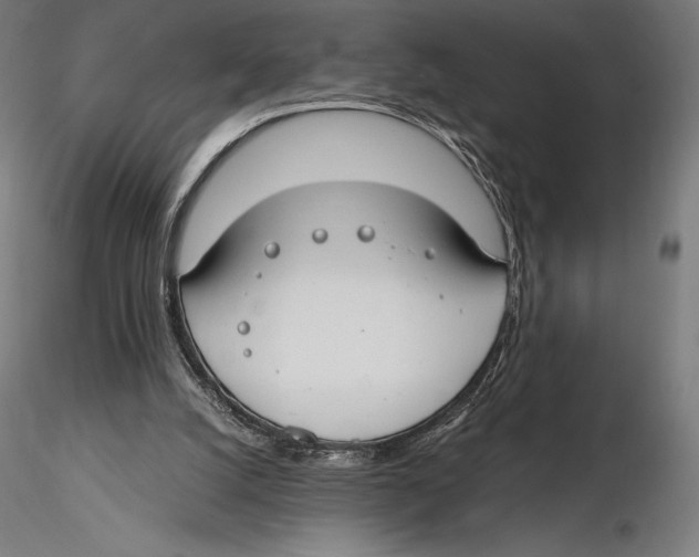 X0000115480056200912041002
