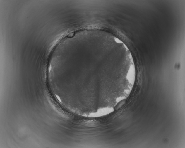 X0000115480059200912041002