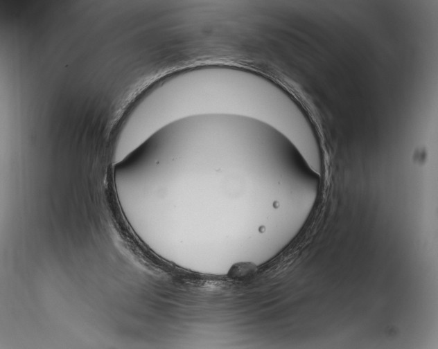 X0000115480060200912041002