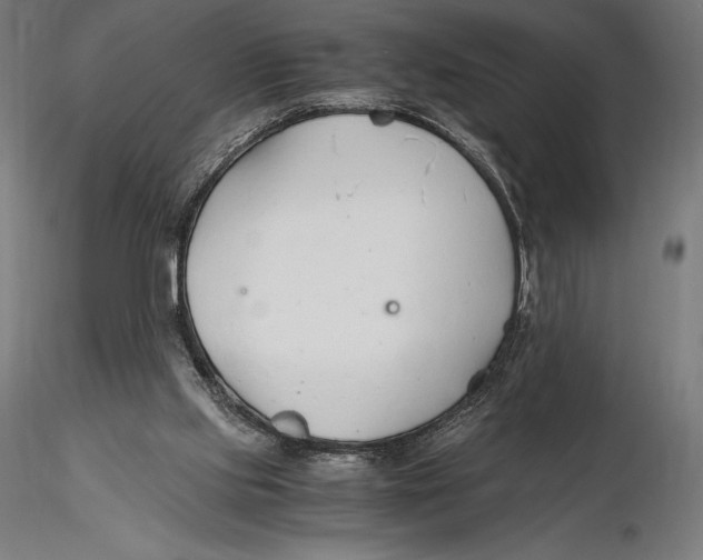 X0000115480061200912041002
