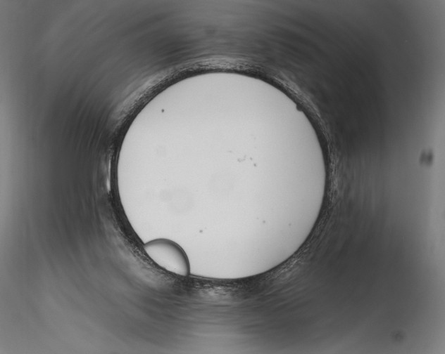 X0000115480062200912041002