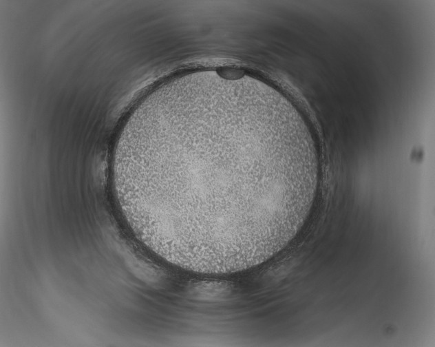 X0000115480063200912041002