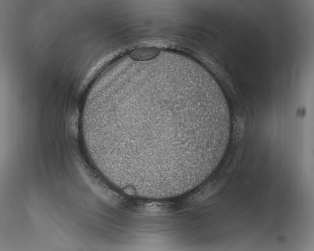 X0000115480064200912041002
