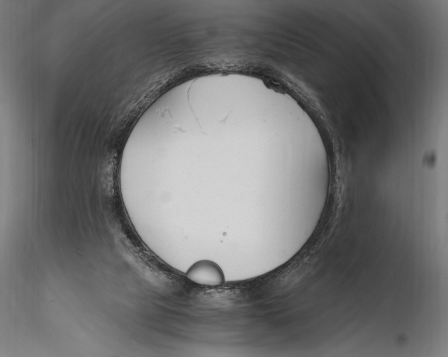 X0000115480065200912041003