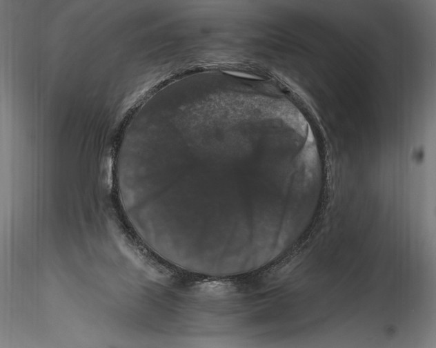 X0000115480067200912041003