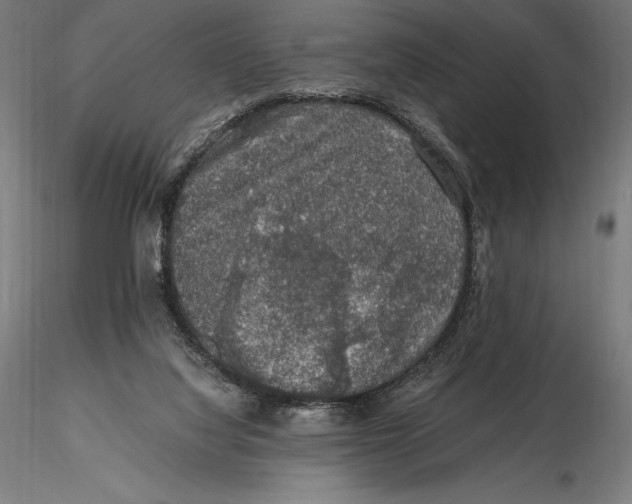 X0000115480068200912041003