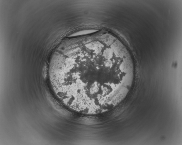 X0000115480069200912041003