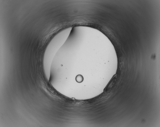 X0000115480072200912041003