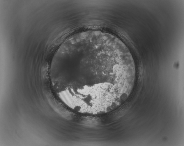 X0000115480073200912041003