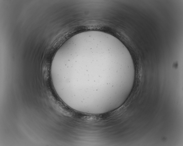 X0000115480074200912041003