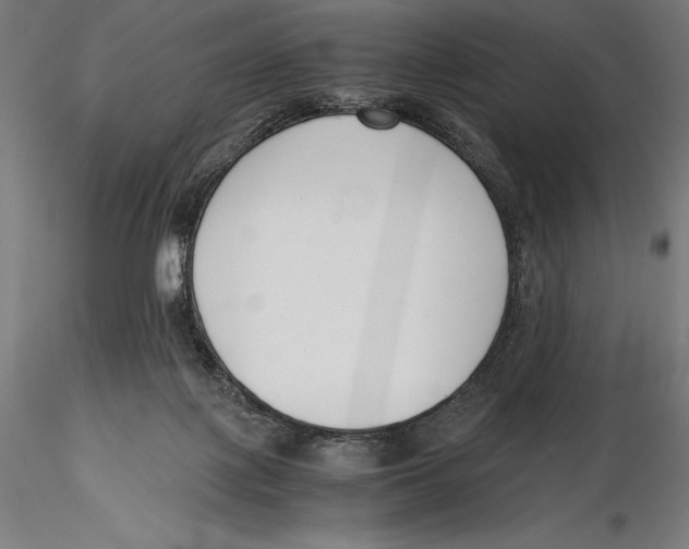X0000115480075200912041003