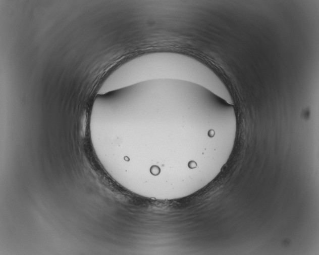 X0000115480076200912041003