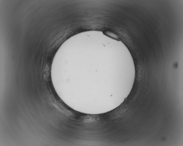 X0000115480077200912041003