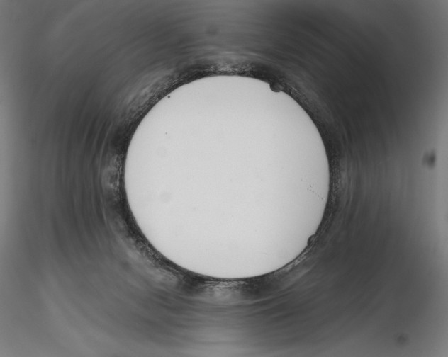 X0000115480078200912041003